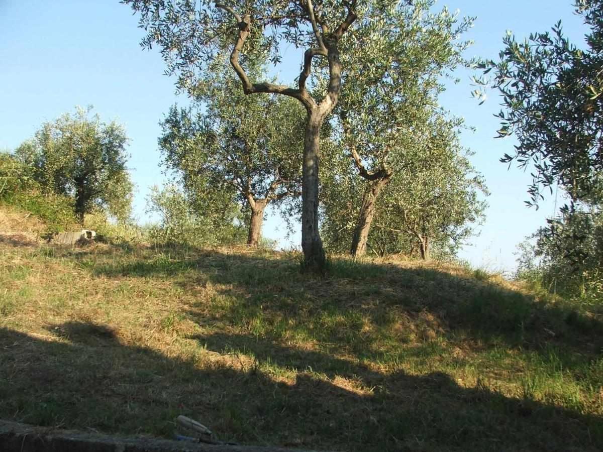 La Casetta Di Sofia Moneglia Exterior photo
